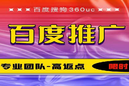 某电商平台的SEM推广实践与效果展示